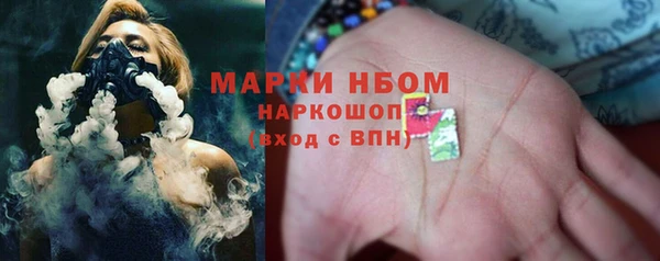 ГАЛЛЮЦИНОГЕННЫЕ ГРИБЫ Аркадак