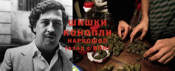 ГАЛЛЮЦИНОГЕННЫЕ ГРИБЫ Аркадак