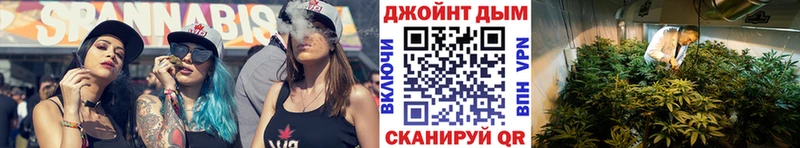 Конопля Amnesia  Кизляр 